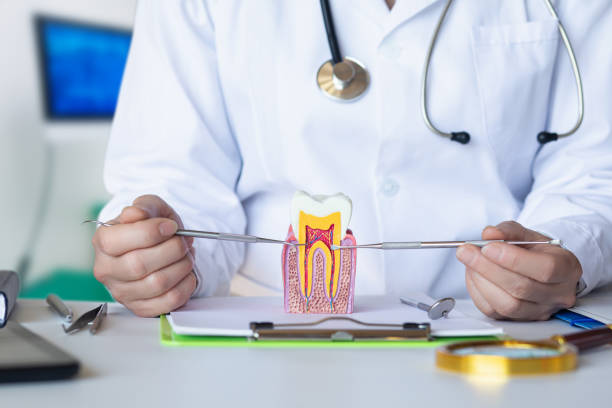 Best Emergency Dental Care for Trauma or Injury in Mcewen, TN